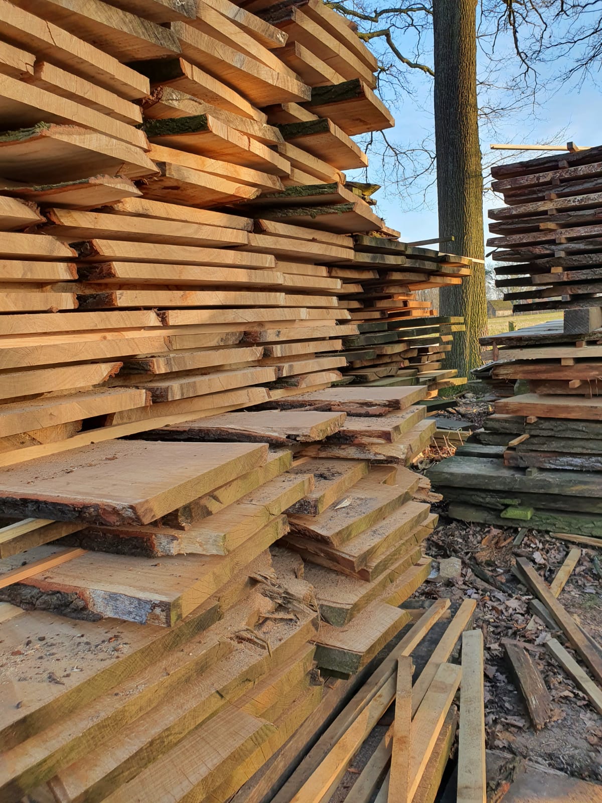 Eichenbretter gestapelt